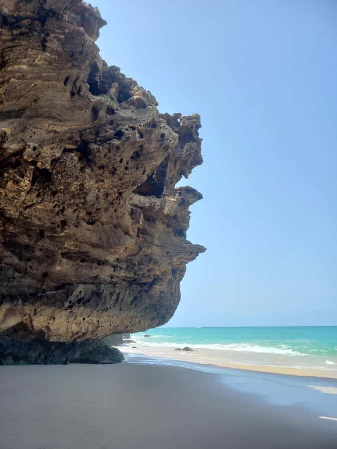 Santa Monica Beach Tour - Turtle Bay and Shark Bay: Ocean Stops With Realistic Expectations