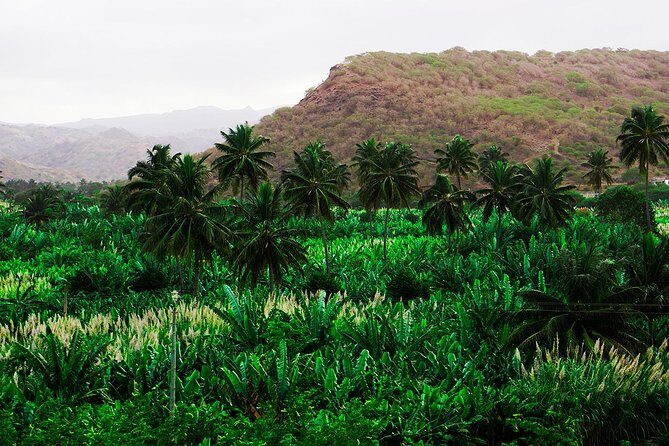 Santiago Island: Banana Plantation, Natural Park & Workshop with a local family - From Praia Inland: why the timing works