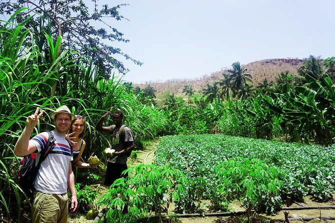 Santiago Island: Banana Plantation, Natural Park & Workshop with a local family - Cooking With a Local Family: Cuscuz and Fidjós, made from scratch