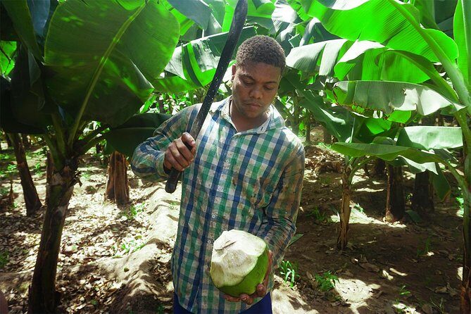 Santiago Island: Banana Plantation, Natural Park & Workshop with a local family - Natural Park Feel on the Return Drive: rocks, valleys, and breathing room
