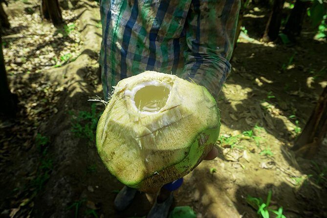 Santiago Island: Banana Plantation, Natural Park & Workshop with a local family - Should You Book This Santiago Island Banana + Cooking Experience?