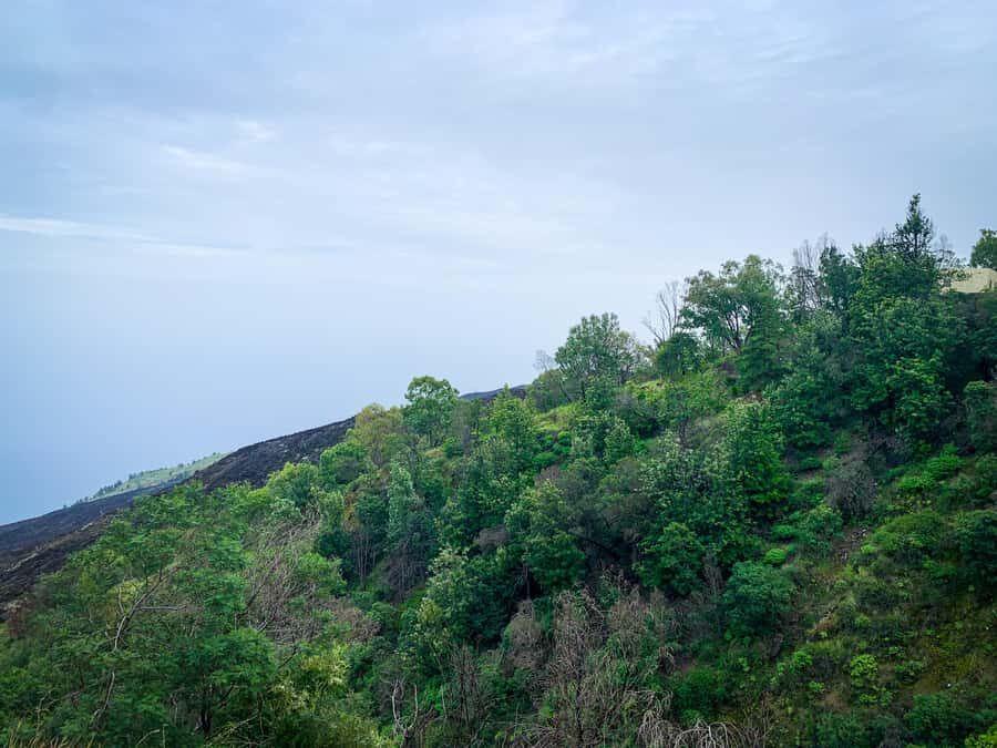 Sao Filipe: Coffee Plantation and Natural Pools Day Trip - Lunch break and the practical reality of a 7-hour day