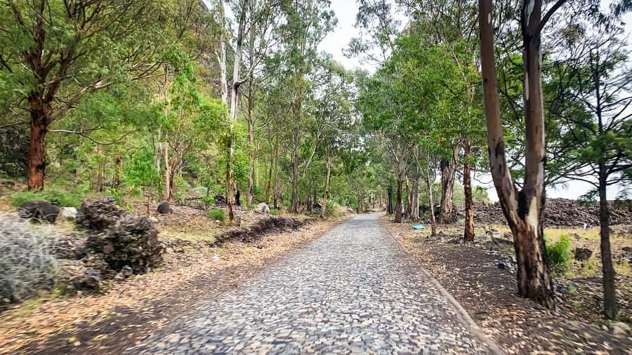 Sao Filipe: Coffee Plantation and Natural Pools Day Trip - Should you book the São Filipe coffee and natural pools day trip?