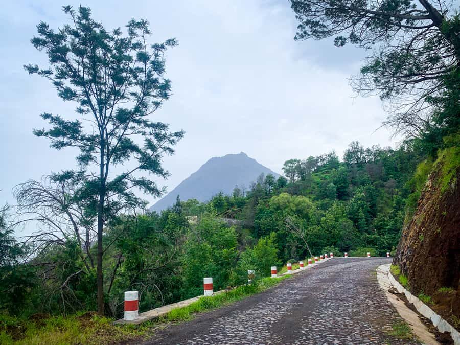 Sao Filipe: Coffee Plantation and Natural Pools Day Trip - Mosteiros organic coffee and lava flows: how agriculture grows out of 1951