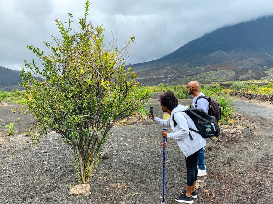São Filipe: Fogo Volcano with Wine and Cheese Tasting - What to bring: the small things that make the walk better