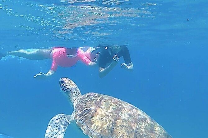 São Pedro experience (hiking & snorkeling with turtles) - São Pedro’s Turtle Swim: the Main Reason to Choose This Trip