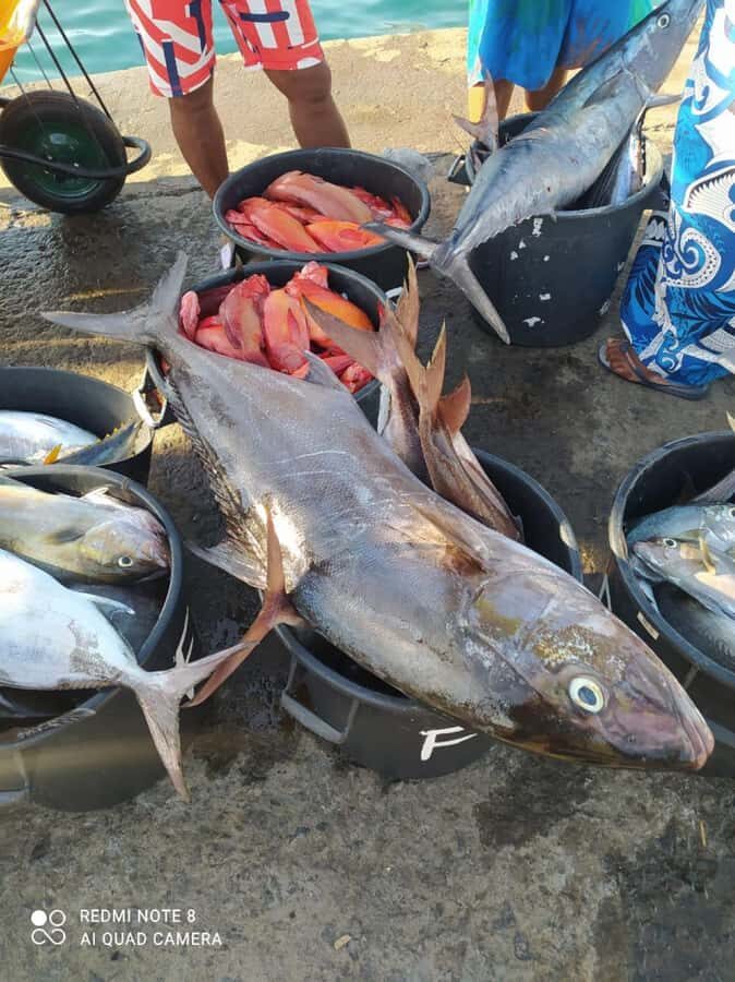 São Vicente Half Day - Mindelo’s Streets: Where Culture Shows Up Fast
