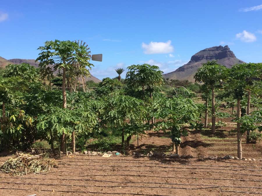 São Vicente: Half Day, Monte Verde and Villages - Riding out of Mindelo with a plan (and a tight timeline)
