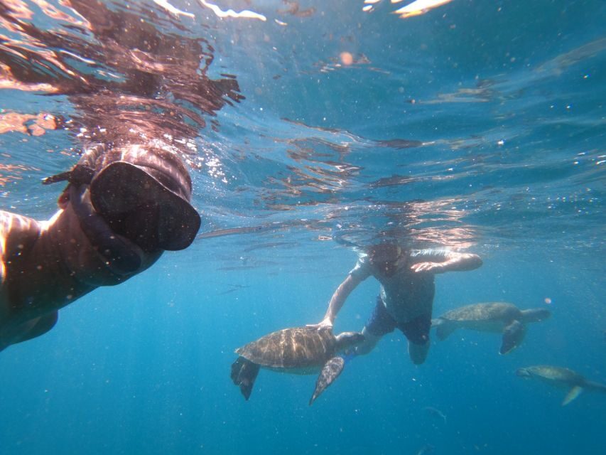 São Vicente: Snorkeling with Turtles Breathtaking Experience - What to bring so you stay comfortable (and safe)
