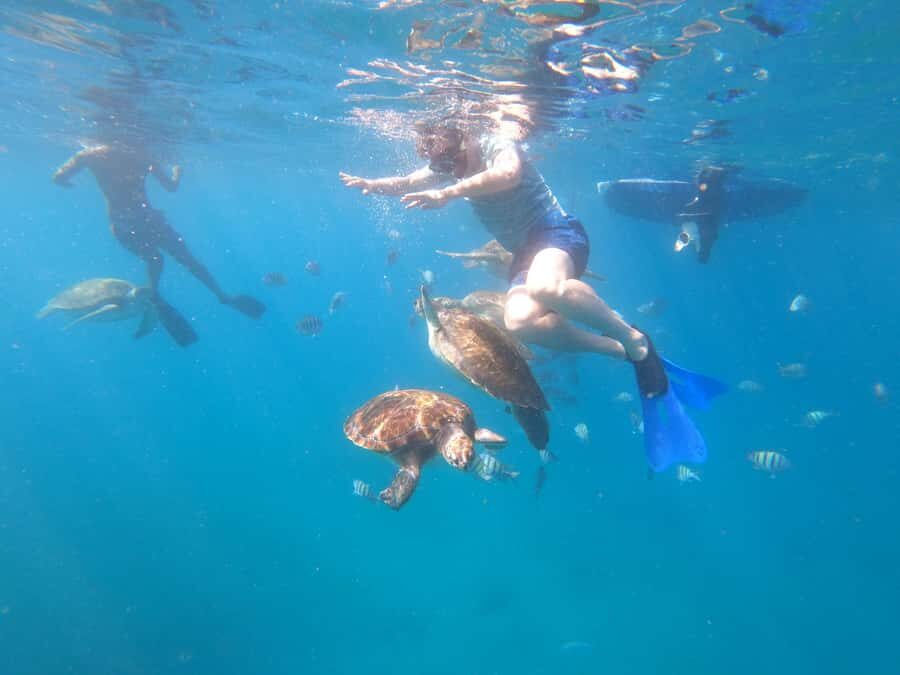 São Vicente: Snorkeling with Turtles Breathtaking Experience - What the time feels like: 2 hours on the water, ~3 hours total