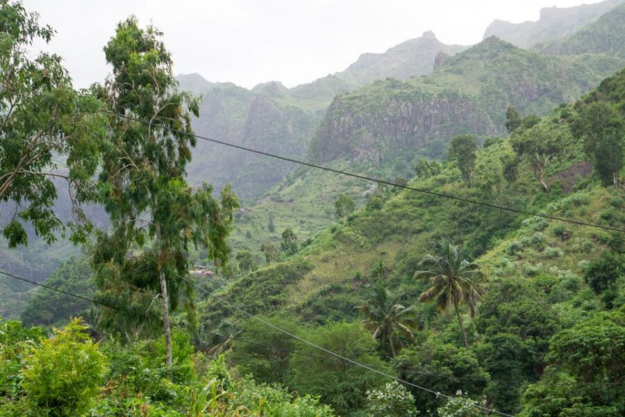 Serra Malagueta Natural Park: Hike to Gongon Valley & Lunch - Key Points to Know Before You Go