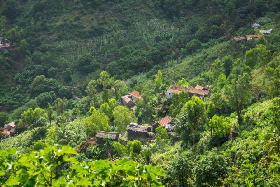 Serra Malagueta Natural Park: Hike to Gongon Valley & Lunch - Wildlife and Plants: What You Can Actually Spot