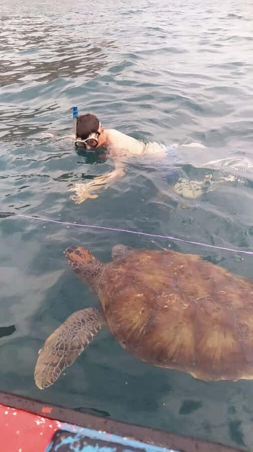 Snorkeling with Turtles - Mindelo pickup to São Pedro: the day starts with less stress