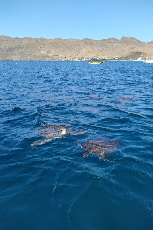 Snorkeling with turtles at Sao Pedro's Beach - Getting to São Pedro’s Beach: transport that sets the tone