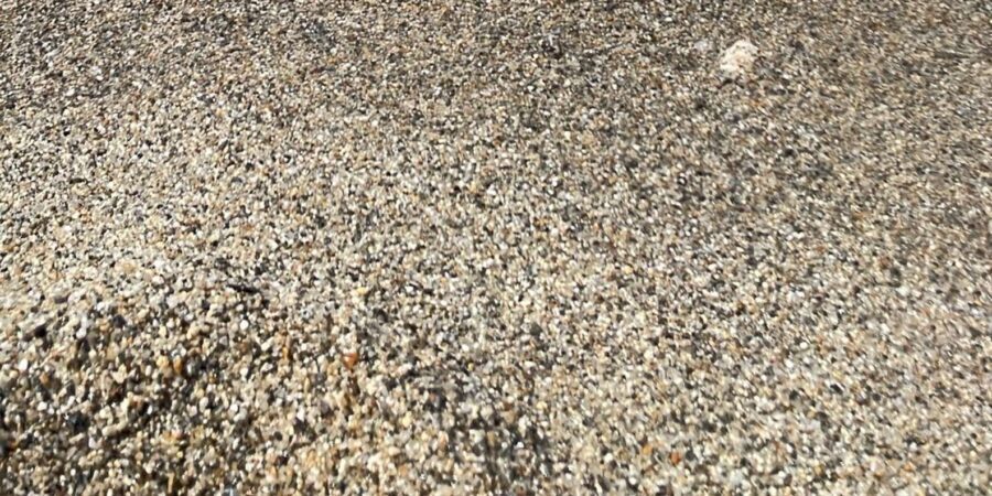 Snorkeling with turtles at Sao Pedro's Beach - Snorkeling with turtles off São Pedro’s Beach: what you’re really seeing