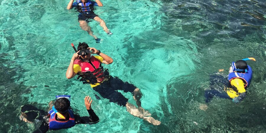 Snorkeling with turtles at Sao Pedro's Beach - Price and value: is $88 fair for turtle snorkeling?