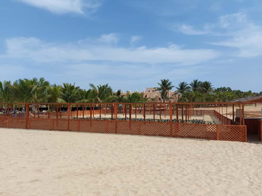 Turtle watching in Boa Vista Island - Entering the Night Routine on the Beach