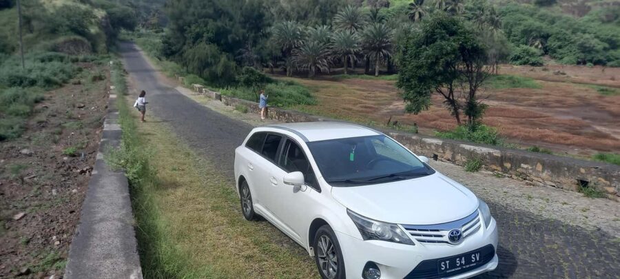 Visit Santiago: Full-Day with Private Taxi Driver - Banana and coconut plantations: a practical look at what grows here