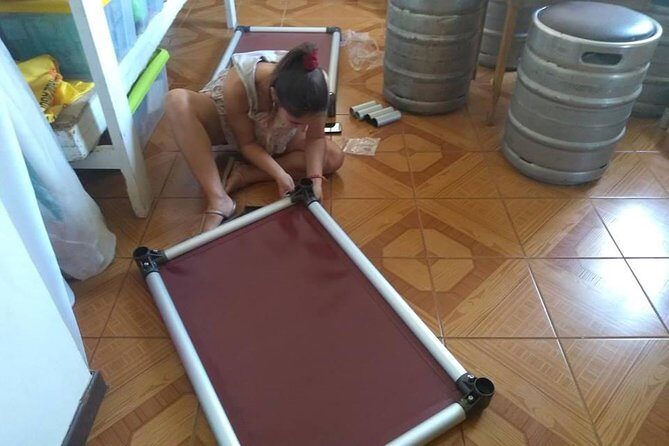 Volunteering with animals in Sao Vicente! - Cat cuddles: gentle support for creatures who need calm
