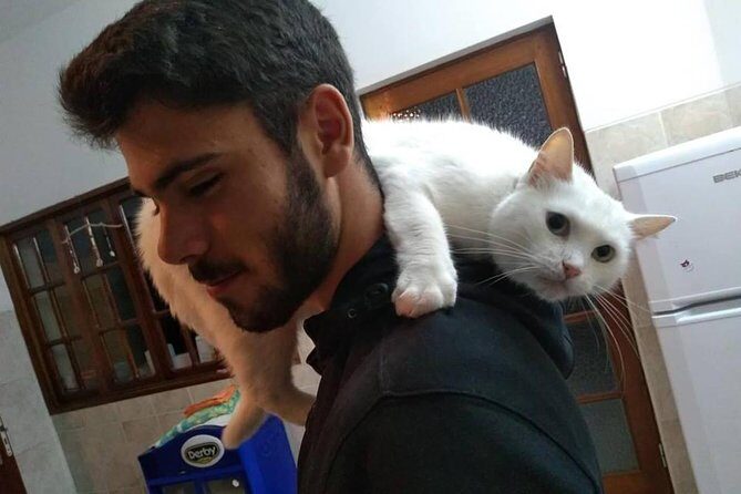 Volunteering with animals in Sao Vicente! - Helping at the hostel: where your time turns into funding