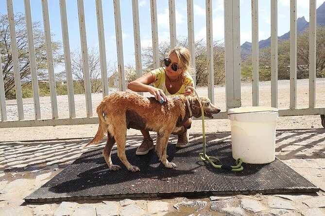 Volunteering with animals in Sao Vicente! - The 3-hour schedule: what you’ll actually spend your time doing